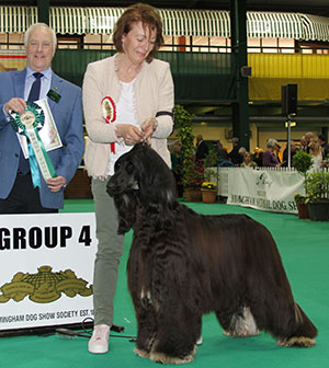 Mrs R A Hall Saxonmill Rum Tum Ricochet JW with group judge Mr P Freer 