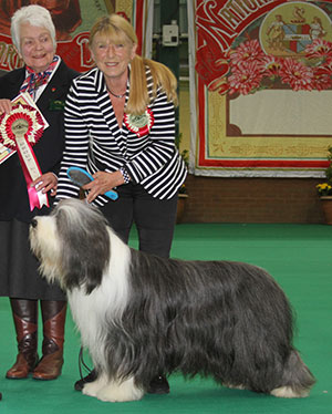 Mr M J & Mrs J Lewis Ch Potterdale Platinum Plus with group judge Miss J Lanning