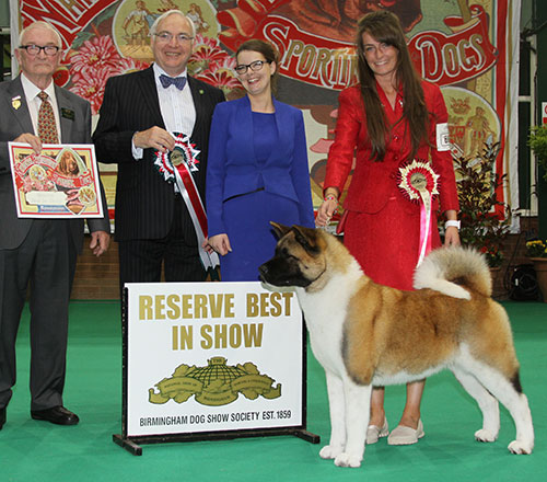 Ms C Bevis & Ms F & Mrs R Corr Ch Stecal's Love At First Sight JW with BIS judge Mr W Browne-Cole & Mr A Foulston (Chairman)