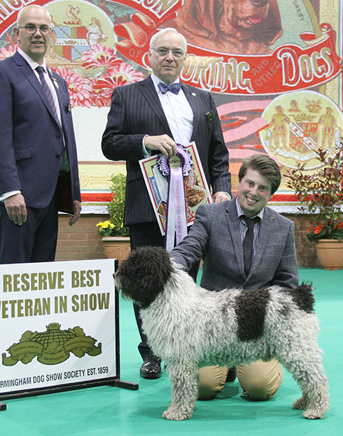 Mr & Mrs N & Mr B Egginton Multi Ch Curioso De La Ribera Del Genil Del Valent with BVIS judge Mr W Browne-Cole & Mr N Gourley (Vice Chairman)