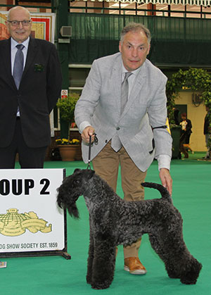 Mr R Ramsay Ch Torum's Cairo Fred with group judge Mr M King 