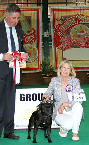 Ms P Funnell Ch Kewaunee Pocahontas For Powerpack JW with veteran group judge Mr J Horswell