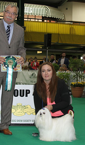 Miss S Flannugan & Mrs A Dornan Diamond Gemeni Out Of Control At Snowkai (Imp) with group judge Mr F Kane 