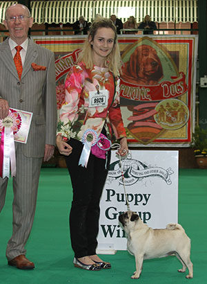 Mrs H Attwood Rhodenash Dream Chaser Of Taftazini with puppy group judge Mr A Wight 