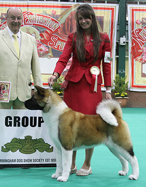 Ms C Bevis & Ms F & Mrs R Corr Ch Stecal's Love At First Sight JW with group judge Mr K Nathan 