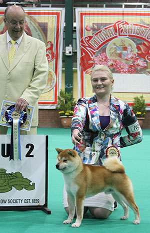 Miss M S Dunhill Hall Ch Am Croat Balt Vormund Leonardo Dicaprio with group judge Mr K Nathan