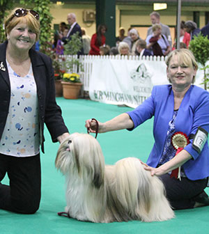 Mrs W Cain Sandauri Showstopper For Kutani (Imp)