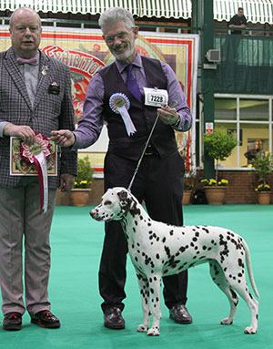 Dr W J E & Mrs J M Gardner Dvojica Chilli Chutney For Wrendragge with puppy group judge Mr T D D Balfour-Burgess 