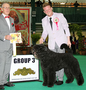 Mrs F Lambert Ch Liskport Lord Of The Rings (ai) with group judge Mr R Oldham