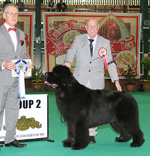 Mrs L Chapman & Mr T Chapman Merrybear D'artagnan with group judge Mr R Oldham