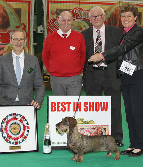 Mr & Mrs D & K McCalmont Ch Silvae Solo with BIS judge Mr M Gadsby, Mr A Foulston (Chairman) & Mr P Galvin (Royal Canin)