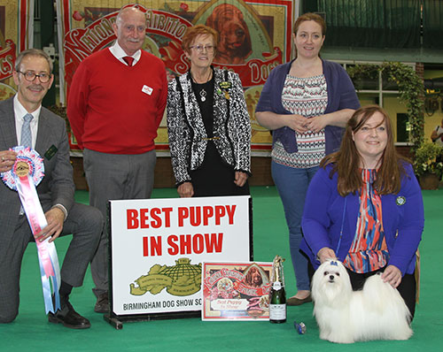 Miss S Flannigan & Miss S Jackson Benatone Perfect Star with BPIS judge Mr M Gadsby, Mrs J Griffiths (Secretary) & Mr P Galvin (Royal Canin) 