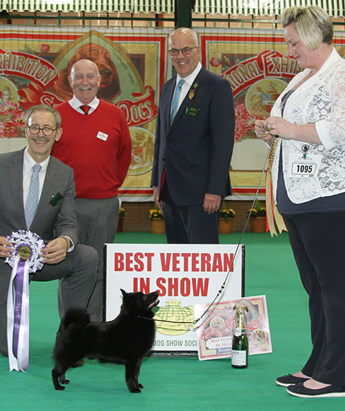 Miss R Fludder Ch Aradet Xtra Addition with BVIS judge Mr M Gadsby, Mr N Gourley (Vice Chairman) & Mr P Galvin (Royal Canin) 