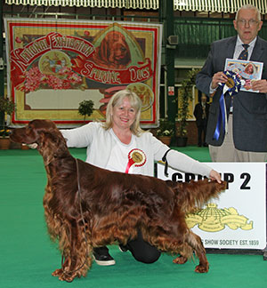 Mr W & Mrs J Willis Gwendariff Thyme Bomb At Jacwilins JW with group judge Dr R James