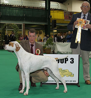 Mrs D O'Neill & Miss J O'Neill Sh Ch Chesterhope Thrill Of T Chase (Imp) with group judge Dr R James