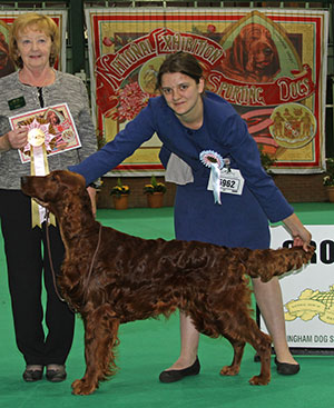 Miss O P Danks-Kemish Teleri Summertime Blues Avec Alolfrana (ai) with puppy group judge Mrs S Bunting 