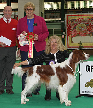 Mr B J & Mrs S A Barry Sh Ch Rustasha Rhapsody In Red Sh CM with veteran group judge Mrs D Smillie-Gray & Mr P Galvin (Royal Canin) 