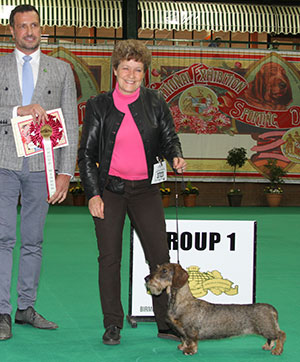 Mr & Mrs D & K McCalmont Ch Silvae Solo with group judge Mr M Cocozza