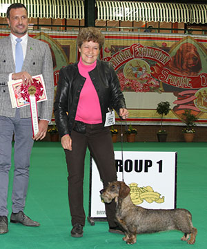 Mr & Mrs D & K McCalmont Ch Silvae Solo with group judge Mr M Cocozza
