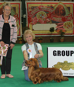 Mrs C Dare Darsoms Zocratees with puppy group judge Miss D Spavin