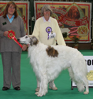 Mrs S M Ridge-Reeves Ch Donskoi Tallin with veteran group judge Miss S Parker