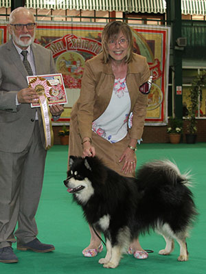 Mr & Mrs B Thomas Elbereth Tuulenpoika with puppy group judge Mr R Baker