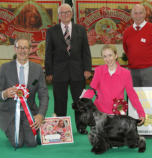 Miss S Amos-Jones Sh Ch Veratey Vincenzo At Cassom JW with BIS judge Mr M Gadsby, Mr A Foulston (Chairman) & Mr P Galvin (Royal Canin)