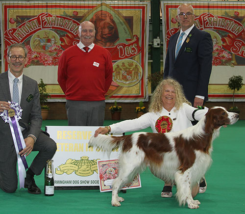 Mr B J & Mrs S A Barry Sh Ch Rustasha Rhapsody In Red Sh CM with BVIS judge Mr M Gadsby, Mr N Gourley & Mr P Galvin (Royal Canin) 