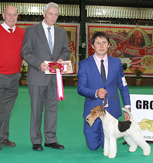 Mr V Malzoni Am Ch Hampton Courts Monte Cristo with group judge Mr K Bartlett & Mr P Galvin (Royal Canin) 