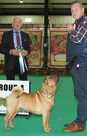 Mr & Mrs A D & H K Morris Ch Ashowai with group judge Mr K R Newhouse