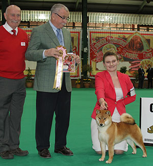 Mrs E Dunhill Vormund The Real Slim Shady with puppy group judge Mr F Kane & Mr P Galvin (Royal Canin) 