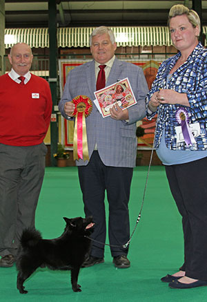 Miss R Fludder Ch Aradet Xtra Addition with veteran group judge Mr G Jipping & Mr P Galvin (Royal Canin) 