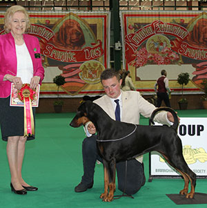 Mrs J A & Miss V L Ingram Ch Tronjheim Belladonna from Jojavik JW Sh CM with veteran group judge Mrs C Champman 