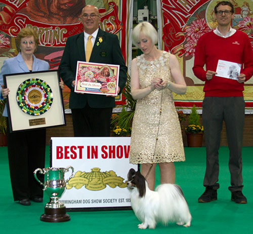 Miss K Rooseds Planet Waves Forever Young Daydream Believers with BIS judge Mrs S Marshall, Mr N Gourley (Chairman) & Mr J Wolstenholme (Royal Canin)