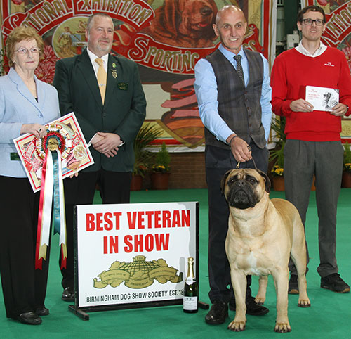 Mr P J Myers & Miss D Morgan Ch Old Manila's Whisky Mac For Optimus JW with BVIS judge Mrs S Marshall & Mr G Hinsley (Show Manager) 