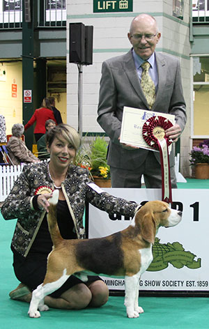 Mrs M Raymond Ch & VDH Ch Dialynne Peter Piper with group judge Mr M Caple