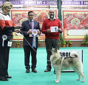 Mrs J E Cowper & Ms B F Cowper Whittimere No Nonsense Of Rothenborg with puppy judge Mr V P Kumpumaki & Mr A Bongiovanni (Royal Canin)