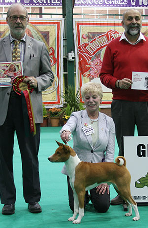 Mrs E Grayson Ch & Int Ch Tokaji American Gigolo at Embeau JW Sh with veteran group judge Mr J Walton Haddon & Mr A Bongiovanni (Royal Canin) 