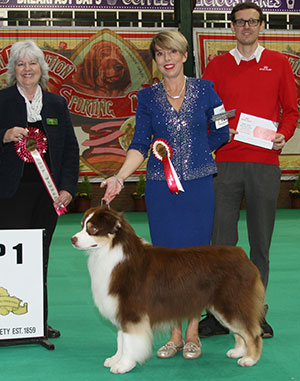 Mrs K Kirtley & Mrs D Erdesz AKC ASCA Wyndstar Magic Marker with group judge Mrs Z Thorn-Andrews & Mr J Wolstenholme (Royal Canin)