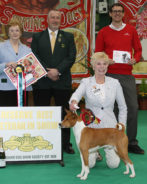 Mrs E Grayson Ch & Int Ch Tokaji American Gigolo at Embeau JW Sh with BVIS judge Mrs S Marshall, Mr G Hinsley (Show Manager) & Mr J Wolstenholme (RC)