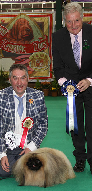 Mr A Easdon & Mr P Martin Ch Yakee The Aristocrat group judge Mr T Allcock