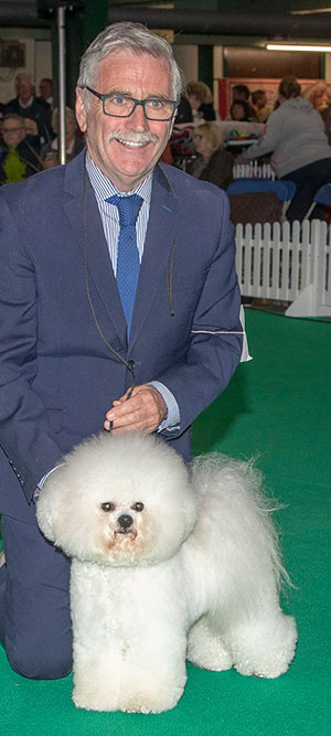 Messrs M Coad & R Smith Regina Bichon You Rock My World at Pamplona. Photograph courtesy of Alan Seymour