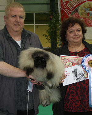 Mr G G J Thomas Jonsville Gucci with puppy group judge Mrs M Gonzalbo 