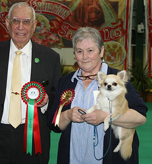 Mrs P A Wills Dorentys Dazzlin Duncan with spbeg group judge Mr K A W Young