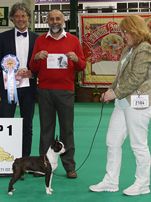 Mrs S Harkins Bogerudmyra's Janse (Imp) with puppy group judge Mr P Van Baarens Grob & Mr A Bongiovanni (Royal Canin)r