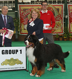 Mrs C Hartley-Mair & Mr G Dybdal Ch Meadowpark High Class with group judge Mr D Killilea & Mr J Wolstenholme (Royal Canin)