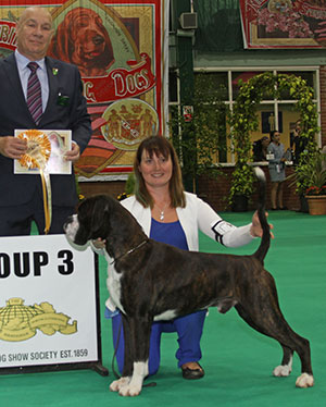 Mr G & Mrs L Brough Ch Galicar Mac Steamy At Limubox with group judge Mr D Killilea