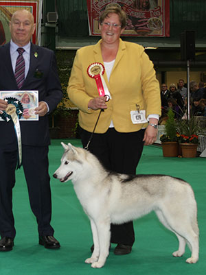 Mrs P Taylor & Mrs H Taylor-Morris Ch Pelenrise Chat A Lot JW Sh.CM with group judge Mr D Killilea 