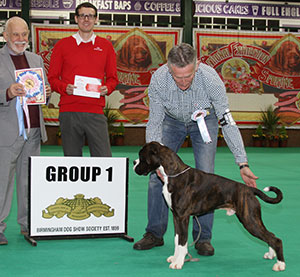 Mrs V Feaver & Mr J Cormack Sugarwood Truluvkis with puppy group judge Mr R Baker & Mr J Wolstenholme (Royal Canin) 