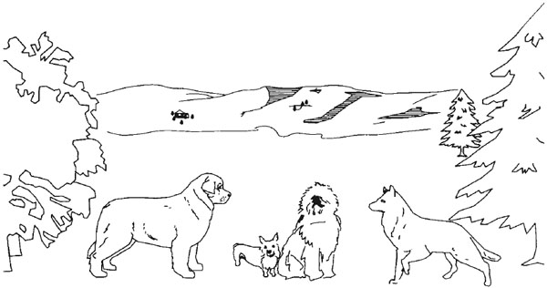 Working and shop pastoral breeds